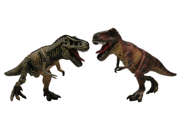 Dinosaur model plastic dinosaur Realistic dinosaur